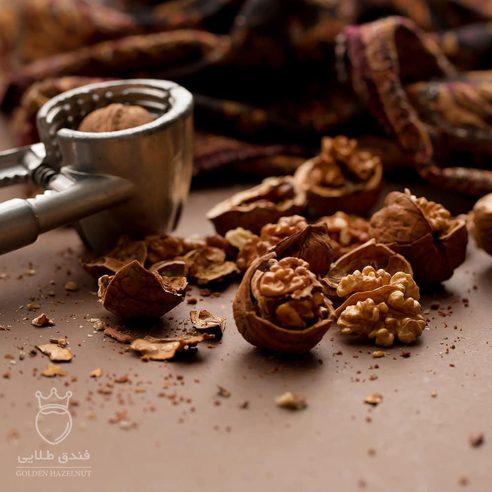 تولید کننده گردو