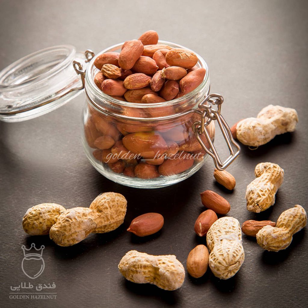 بادام زمینی